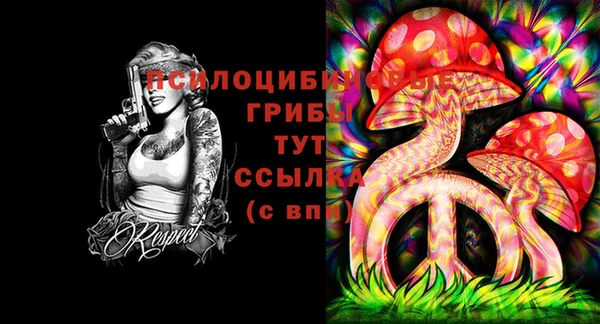 Альфа ПВП Лихославль