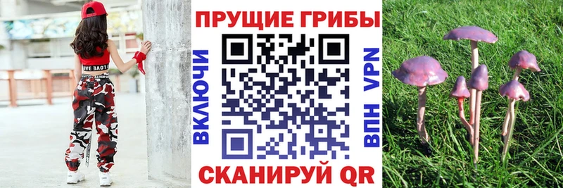 Галлюциногенные грибы ЛСД  Щучье 